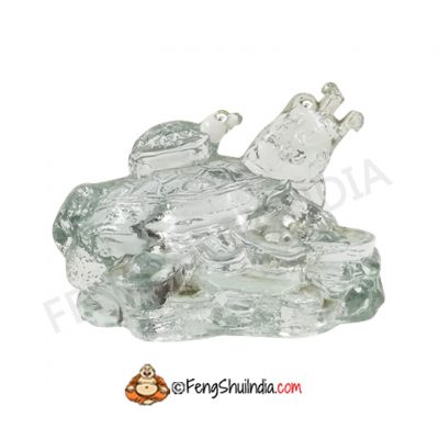 The Dragon Head Turtle with a Child Turtle for descendants luck.