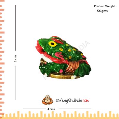 Feng Shui Frog With Ru-Yi Stick