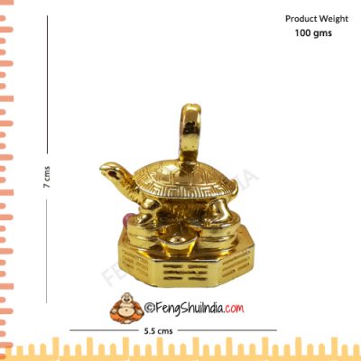 Golden Turtle With Coin