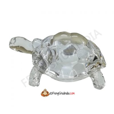 Crystal Turtle